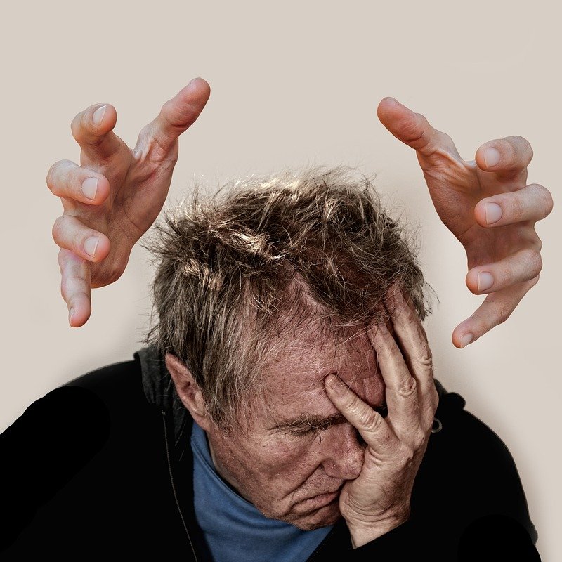 Ben ik een mislukkeling - Ons reptielenbrein